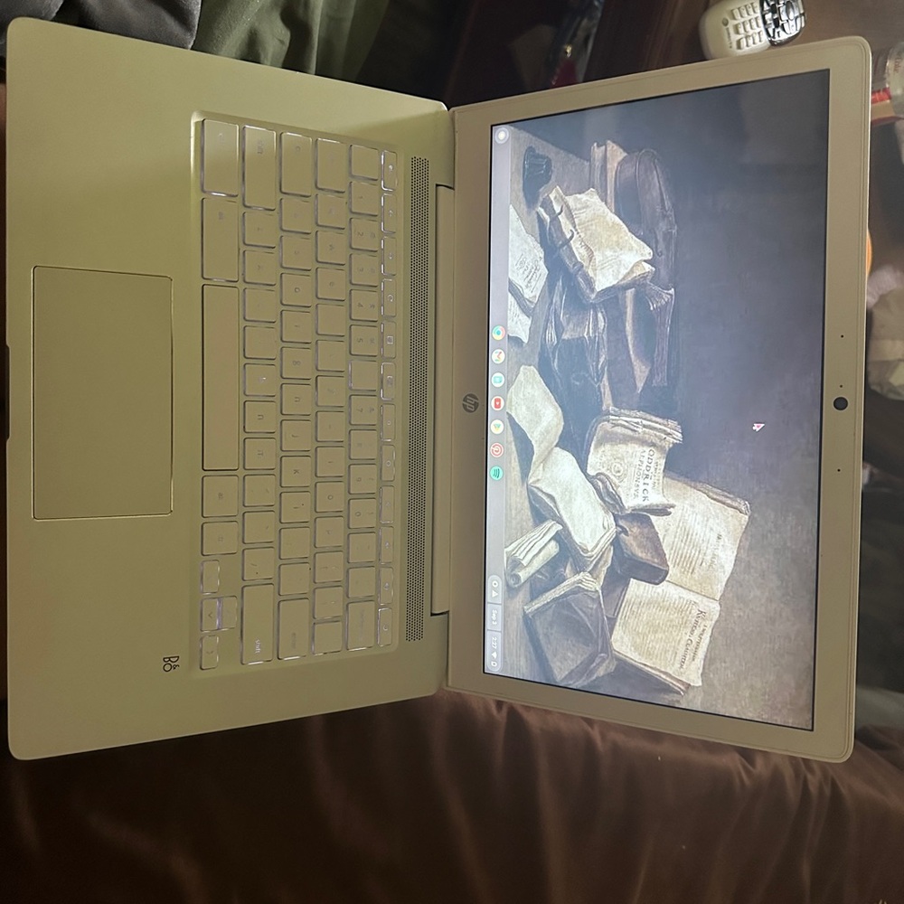 White Touchscreen Chromebook